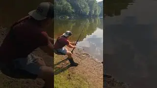 The AUTOMATIC Fish Catcher 😂🎣#fishing #shorts