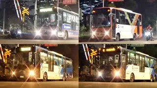 Long Horn.. Bis TransJakarta disini Cakep Cakep, dari Scania, Mercy sampai Mitsubishi
