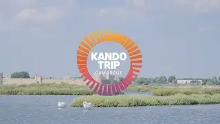 Sony Kando Trip 2025 - Camargue