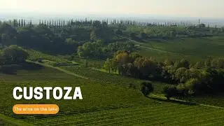 Custoza, il vino sul lago