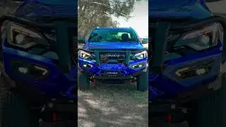 24+ D-max with the Hamer Atlas Plus Bull Bar