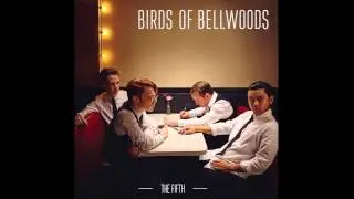 Birds of Bellwoods - Sky (Audio)