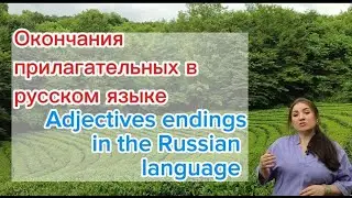 Russian adjectives gender endings in the Nominative singular 