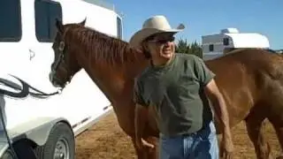Equine Protection Fund - Emergency Feed Assistance