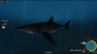 This Might Be The Best Ocean Game On Roblox (Oceanic Testing 2)