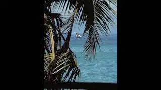 Caribbean Music