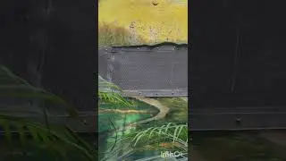 samsung s22 ultra zoom   please like or subscribe 🙏