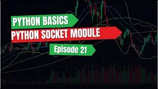 Build a Simple HTTP Client in Python: Learn Sockets in 4 Minutes! 🌐 | Networking with Python