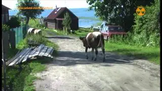 Siedem m&oacute;rz cz II Rosja / Seven Seas? Part II of Russia