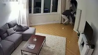 When a Wild Bear Enters Human Life, Everything Changes!!