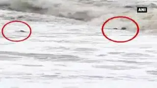 Caught on cam: 4 drown while taking selfie at Nagoa beach
