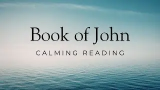 Fall Asleep to the Book of John | Peaceful Bible Reading with Nature Sounds