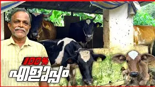 പശു വളർത്തുന്നവർക്ക് ഇത് ഉപകാരപ്രദം ❤️ @edapparambilfarms