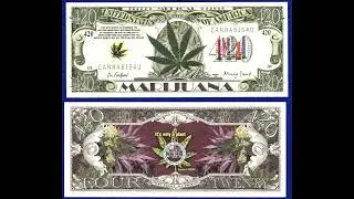 The Growing Global Hemp Industry - audio podcast