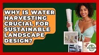 Why Is Water Harvesting Crucial For Sustainable Landscape Design? - Eco Home Blueprint