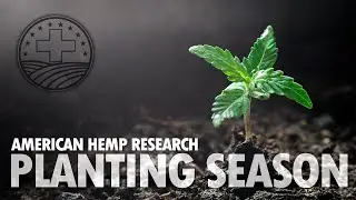 Planting Season 2020 | American Hemp Research