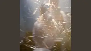 FANETO FREESTYLE