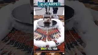 MAGIC Pet Stain Removal from Living Room Carpet in Nassau