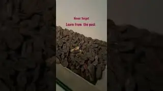 Holocaust Museum shoes collected from concentration camps#shorts