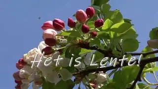 Spring at Home