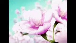 Yxng Bane - Shape Of You {Slowed + Reverb}