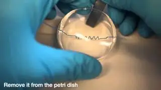 Simple Fabrication of Complex Microfluidic Devices: ESCARGOT Method. Saggiomo, Velders
