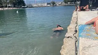 Snorkel Lake Gen&egrave;ve Switzerland Fresh water Review