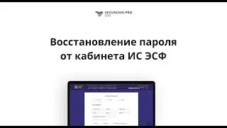 Восстановление пароля от кабинета ИС ЭСФ | VEZUNCHIK PRO EDO | Везунчик Про | Яндекс Про