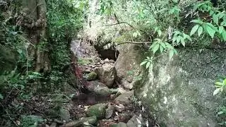 Adventure, Solo Trekking, Vellagavi to Kumbakarai Falls