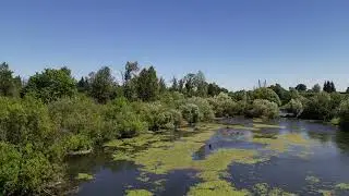Delta Ponds - Eugene Oregon July 2023 DJI Mini 3 Pro