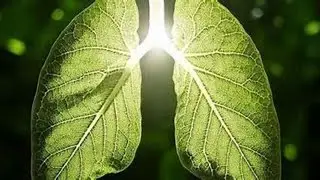 THE LUNGS (FEI) IN CHINESE MEDICINE QUIZ 2