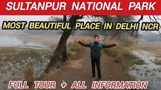 Sultanpur National Park Gurgaon |Sultanpur Bird Sanctuary Gurgaon - Full Tour &  All Information