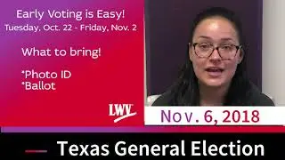 Early Vote in the Texas General Election