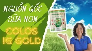 Nguồn gốc của Sữa Non Colos Ig Gold || Sữa Non New Zealand || Văn Dần Sữa Non