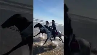 Strong girls galloping with stallions #horselife #horse #arabianstallion #horses #horseriding