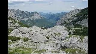 7.7.2017: Blaueish&uuml;tte, Deutschland