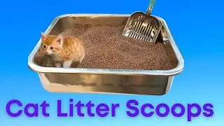 Top 5 Best Cat Litter Scoops for 2023