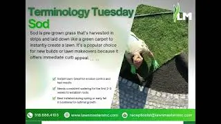 📚 Terminology Tuesday: What is Sod?