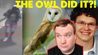 9 True Crime Cases: Did the Owl Do It?! TikTok Compilation (makingatruecrimerer)