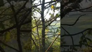 #drone #dronevideo #dji #mini2se #dronecrash #dronecrashes