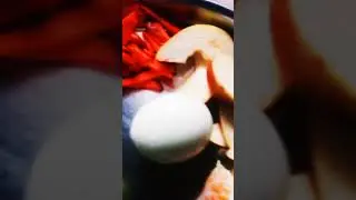#tamil #food #cooking #video #tamil #shorts #viral #video subscribe videos like subscribe videos
