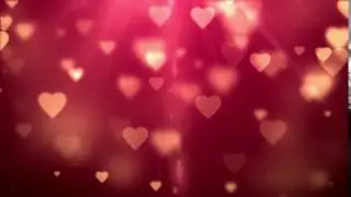 Video Background HD   Wedding HD   Style Proshow   styleproshow org