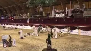 Mathilde holm - Railway Explosion 6yrs, 1.0m Show