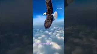 #motivational video #uqab  parinda