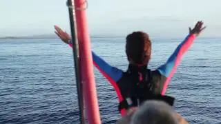 DOLPHIN SWIM AUSTRALIA (by Pixello Productions)