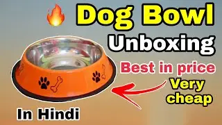 Dog bowl unboxing | very cheap | best in price | in hindi
