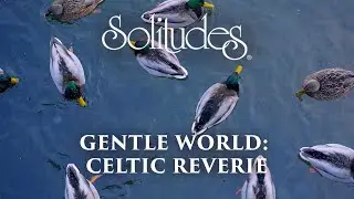 Dan Gibson’s Solitudes - My Singing Bird | Gentle World: Celtic Reverie
