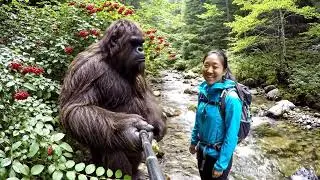 Bigfoot Vlog36