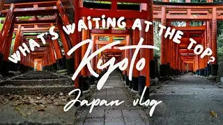 What's at the top of Fushimi Inari in Kyoto?