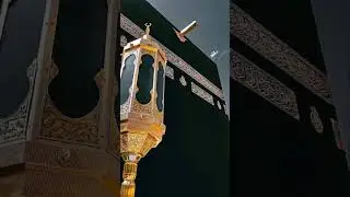 Daily Life Quran #shorts #youtube #viral